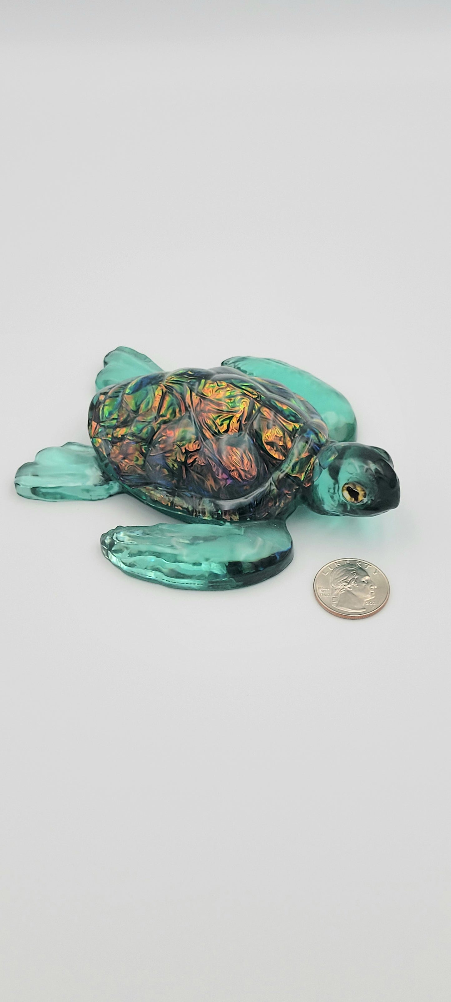 Light Green Sea Turtle
