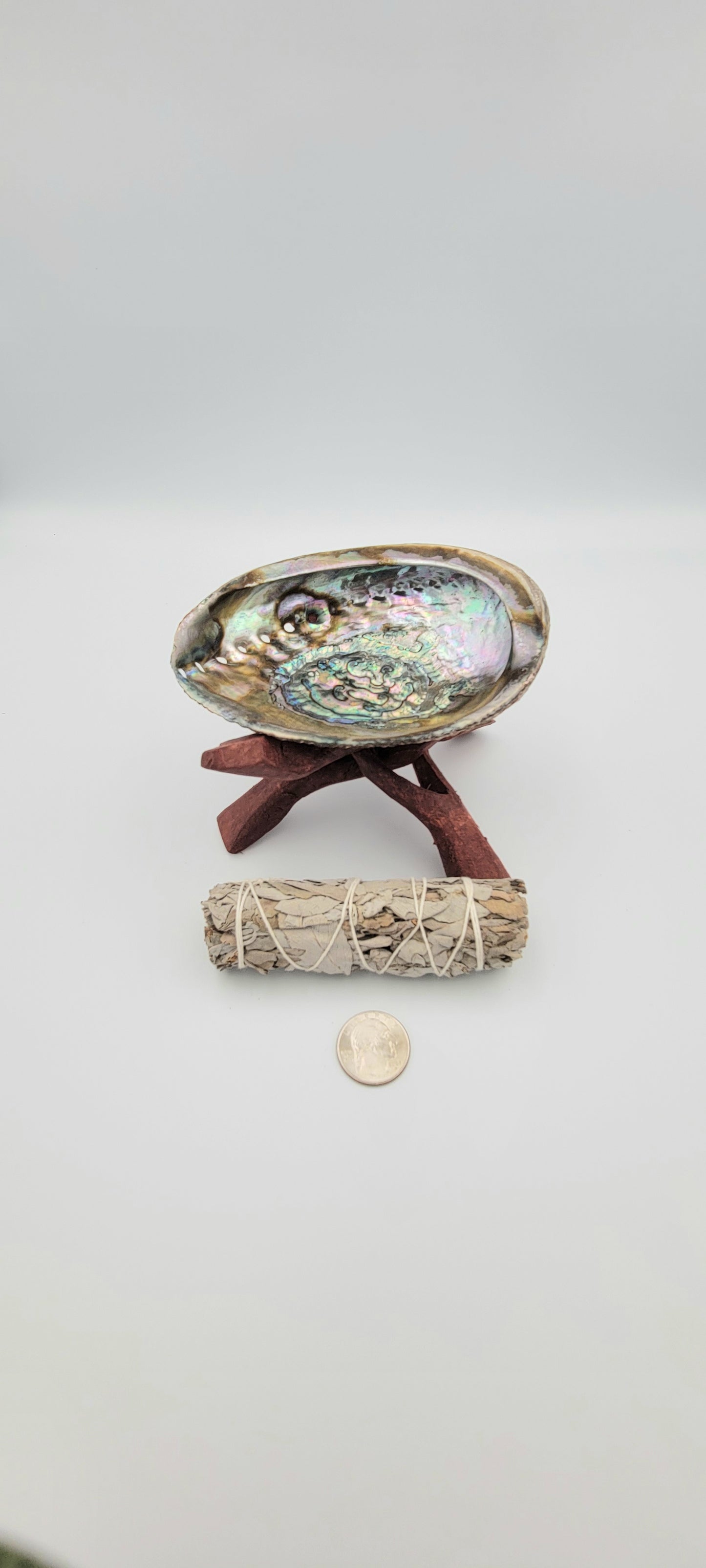 Sage Burning Shell with Stand