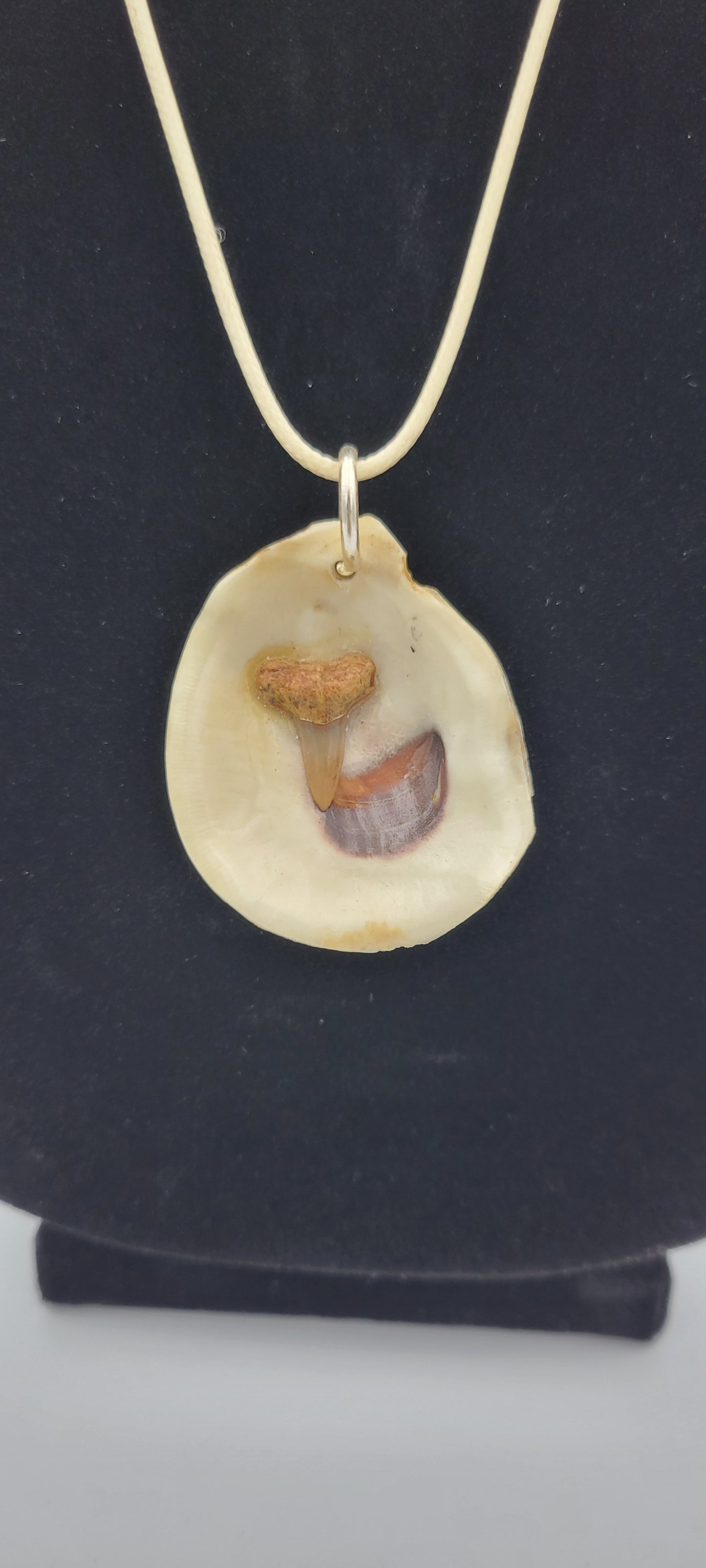 Seashell Neckalce with Shark Tooth